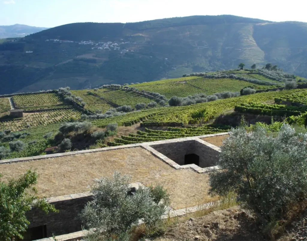 Green-Roof-Sustainable-House-Douro