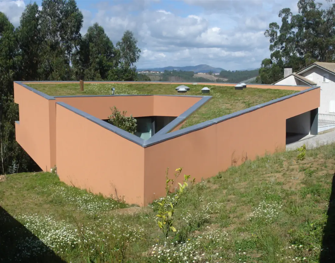 Ecological house with green roof