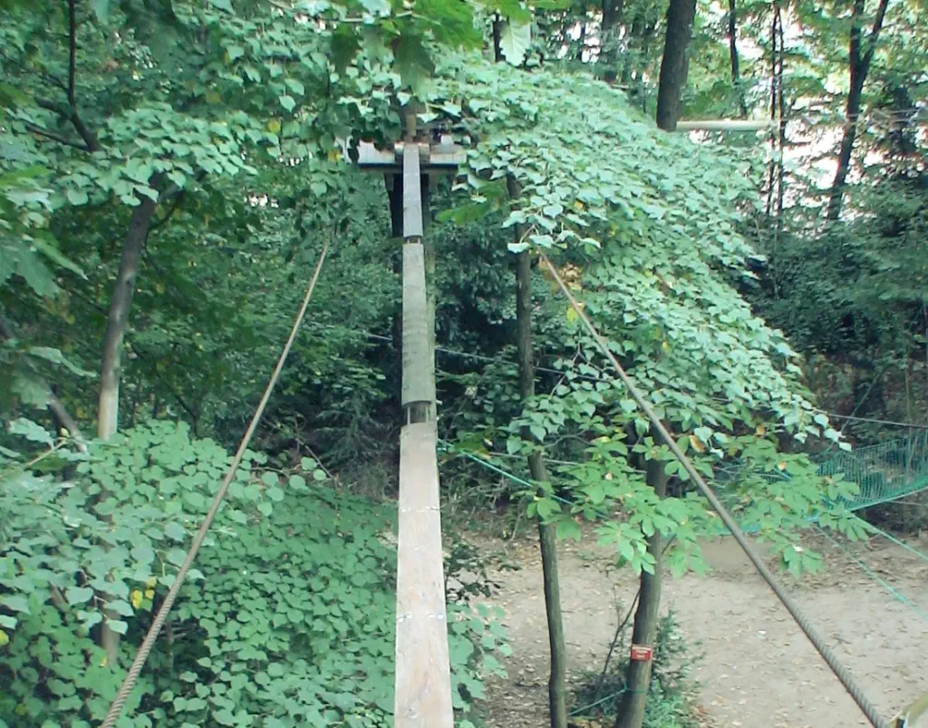 Tree climbing aerial path