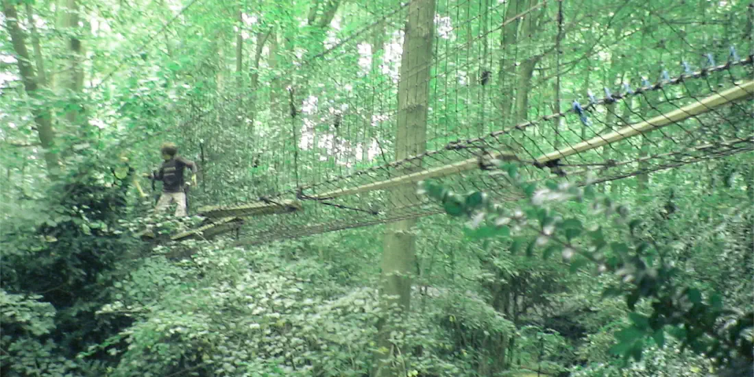 Parque de escalada de árboles