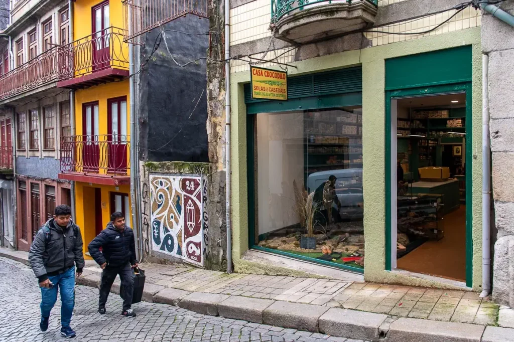 Shop window of the "Casa Crocodilo"