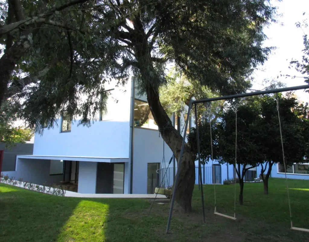 Árboles y patio del colegio