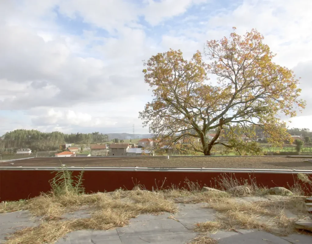 Green roof viewv of the house