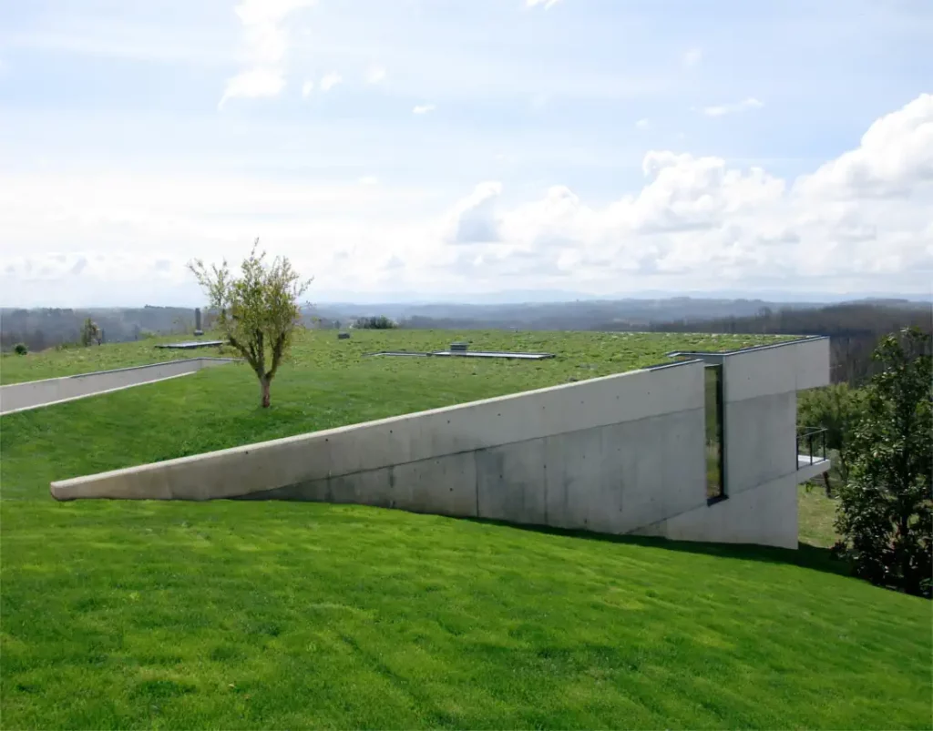 Raw concrete house with green roof and small tree